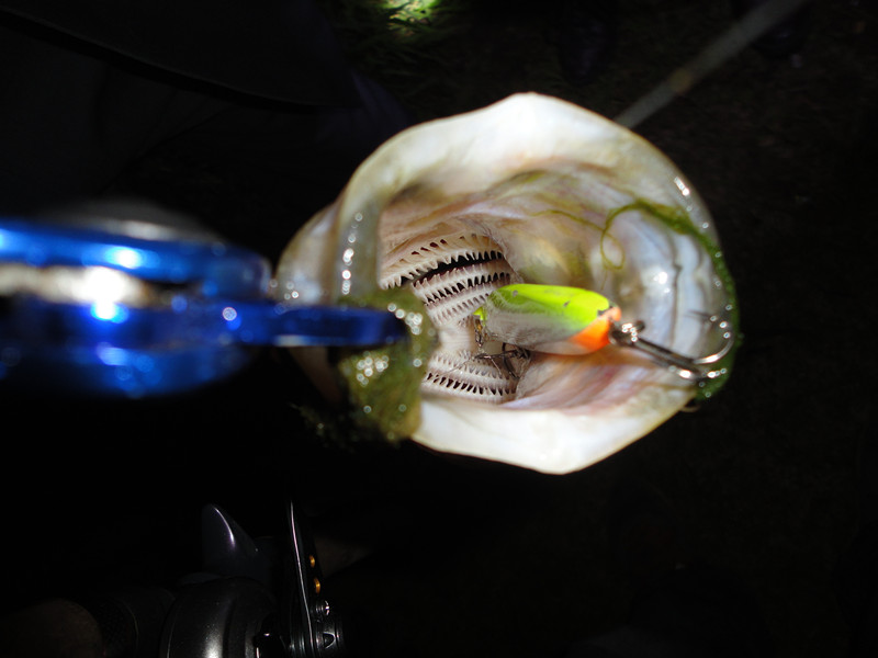 DSC01160_.jpg