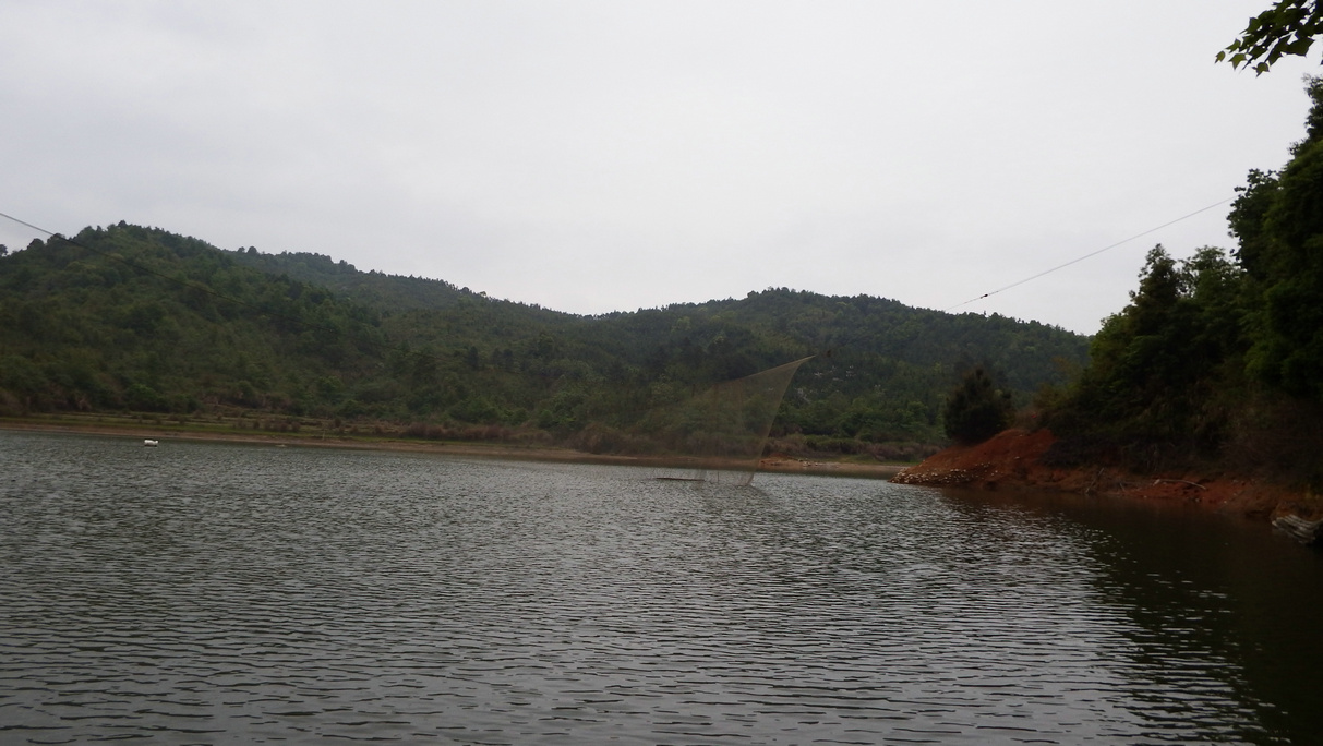 DSCF0224.JPG