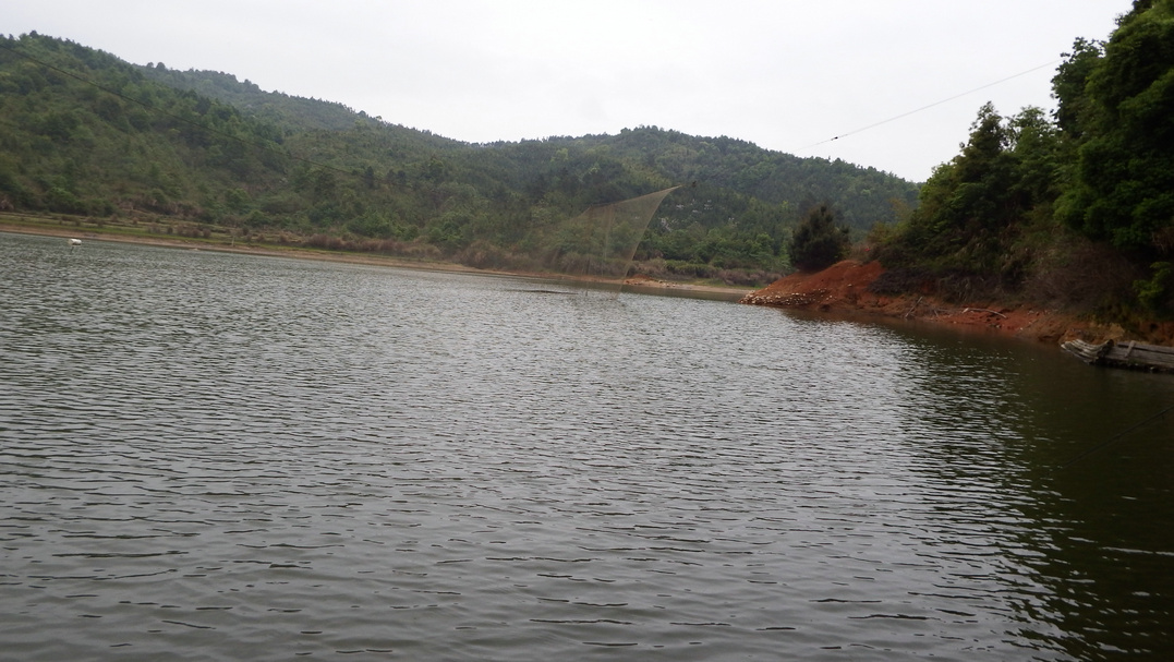 DSCF0227.JPG
