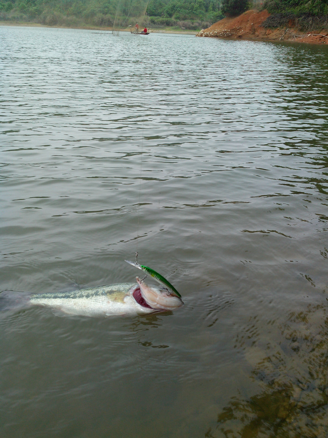 IMG_20140420_170625.jpg