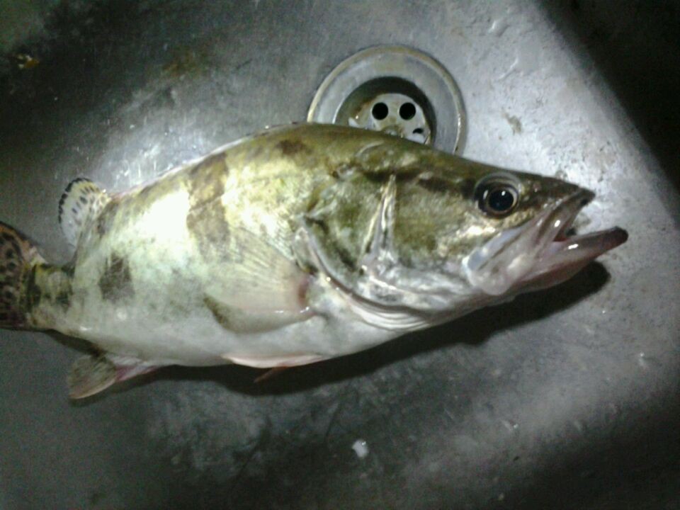 QQͼƬ20140515223752.jpg