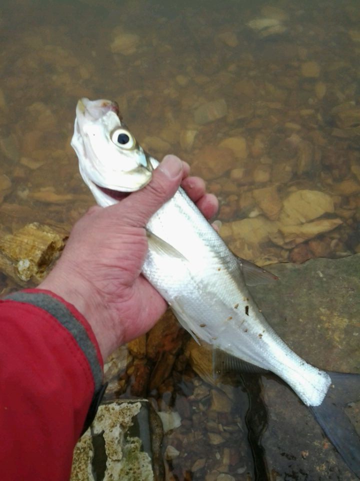 QQͼƬ20140515223708.jpg