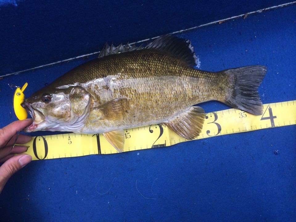 QQͼƬ20140517201809.jpg