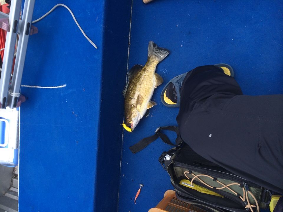 QQͼƬ20140517201823.jpg