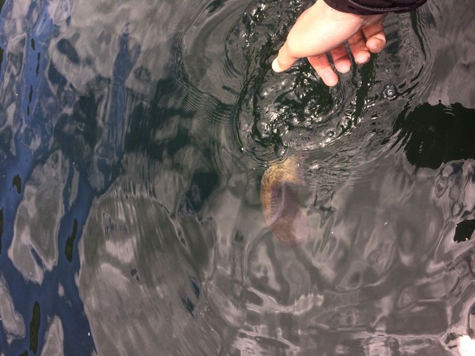 QQͼƬ20140517201755.jpg