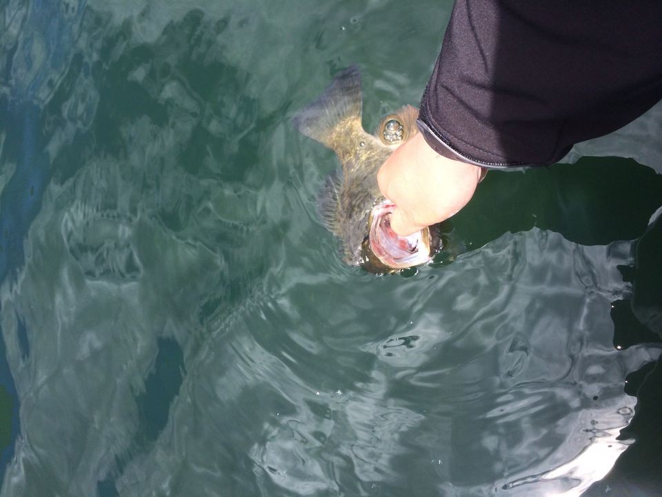 QQͼƬ20140517201800.jpg