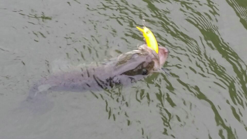 QQͼƬ20140521213906.jpg