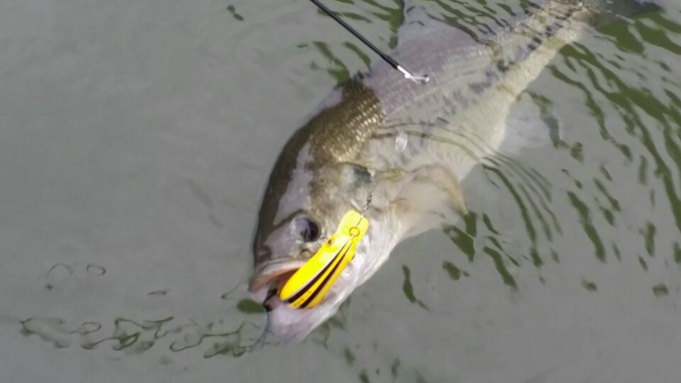 QQͼƬ20140521213918.jpg