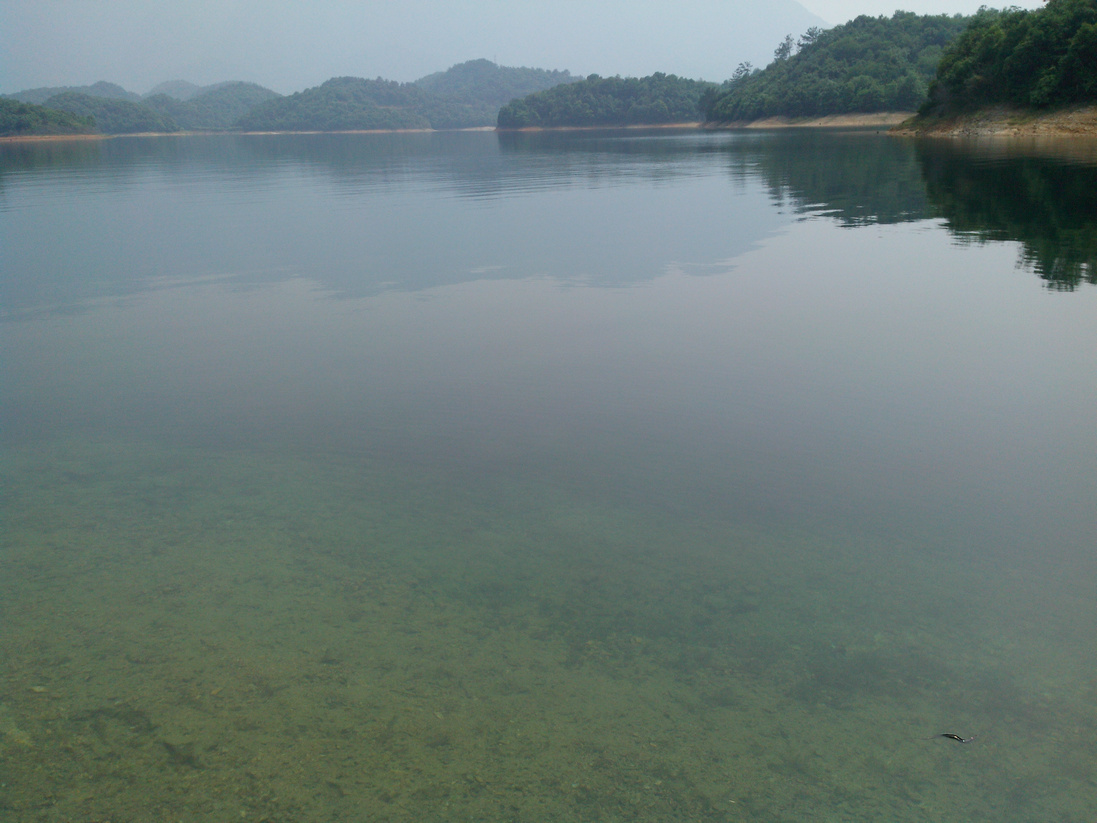 IMG_20140520_143229.jpg