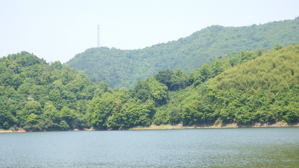 DSCF0295.JPG