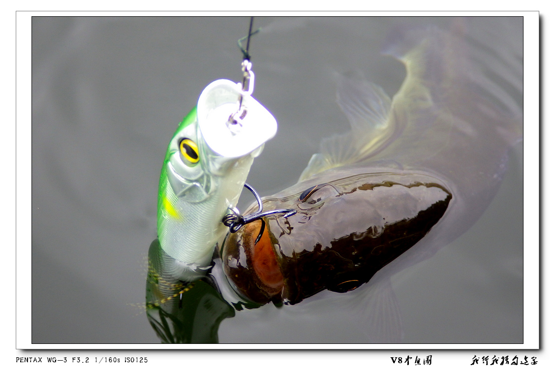3V8ͼ2014.5.30.JPG