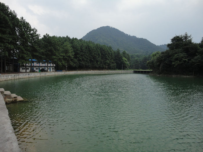 DSC09542.jpg