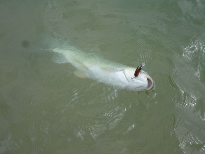 DSC09558.jpg