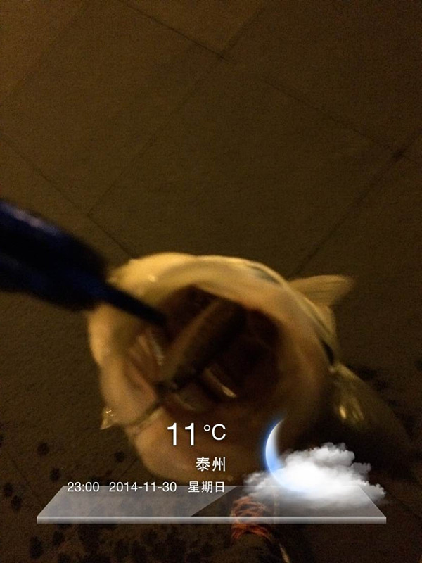 QQͼƬ20141201090654.jpg