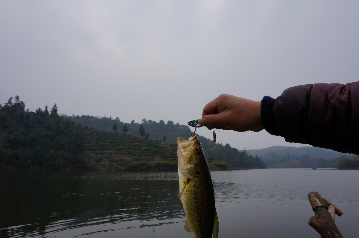 DSC07114_СС.JPG