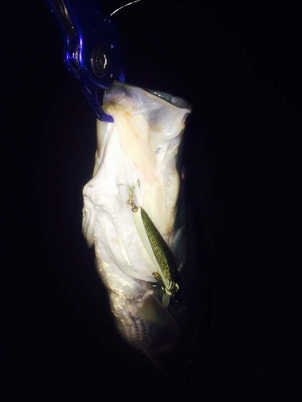 QQͼƬ20150215091835_.jpg