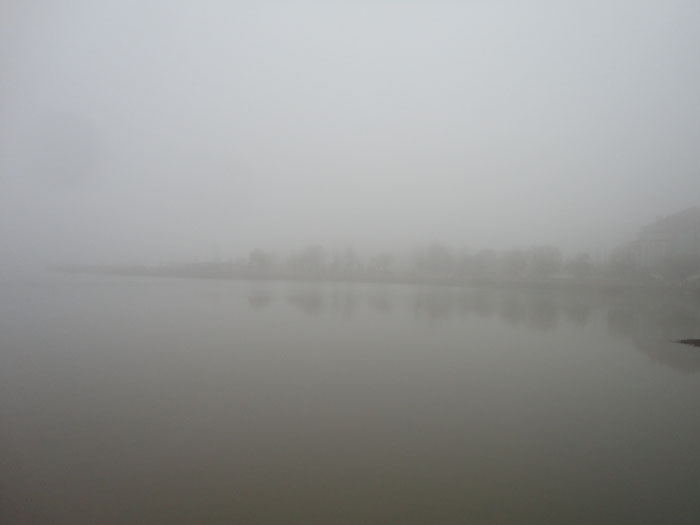 DSC00518.jpg