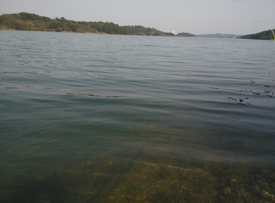 IMG_20150322_154727.jpg