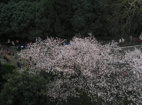 03.jpg