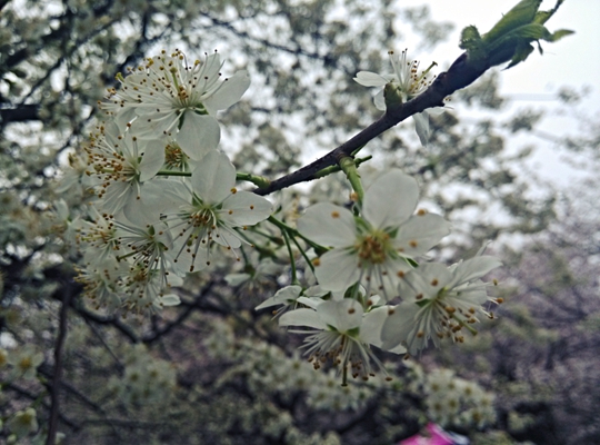 04.jpg