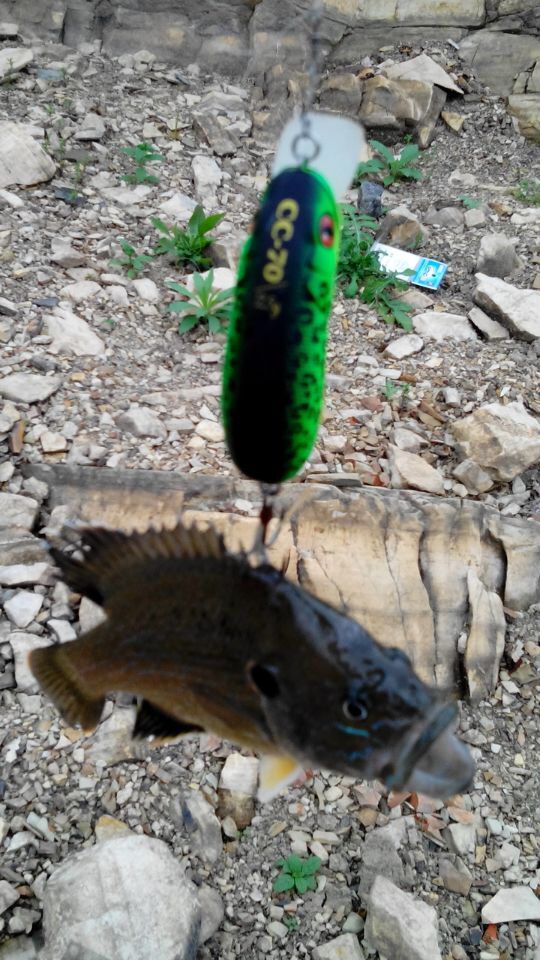 QQͼƬ20150426214200.jpg