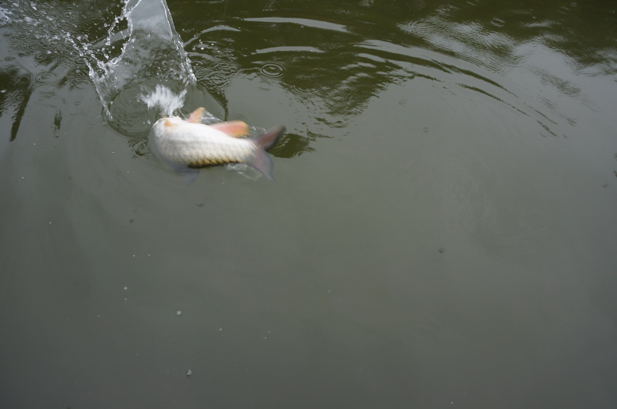 14.JPG