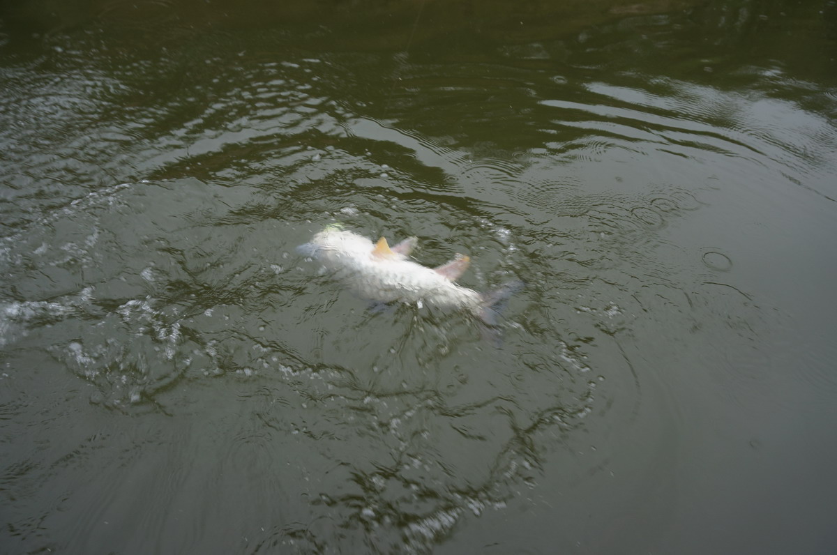 15.JPG