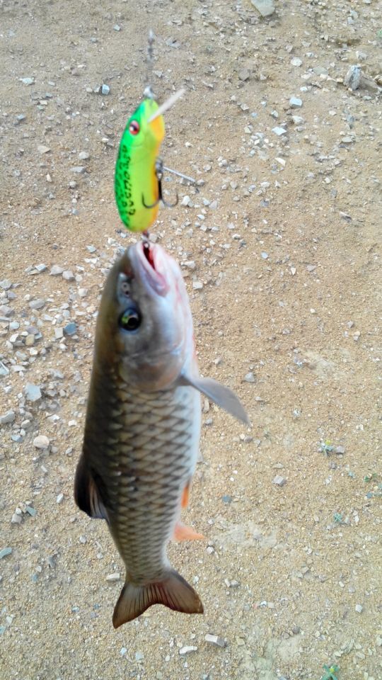 QQͼƬ20150501184815.jpg