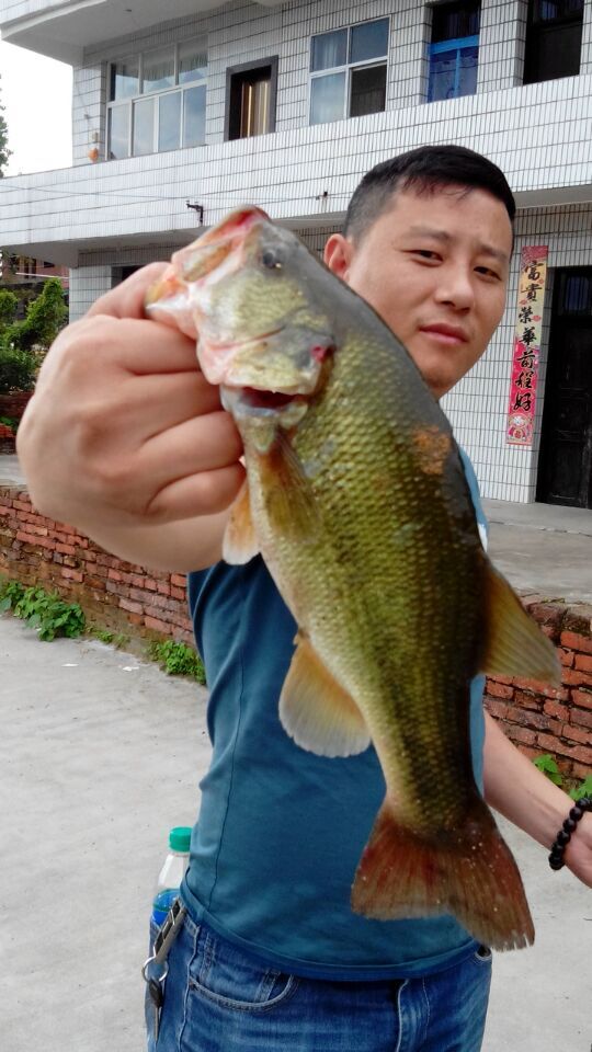 QQͼƬ20150522232510.jpg