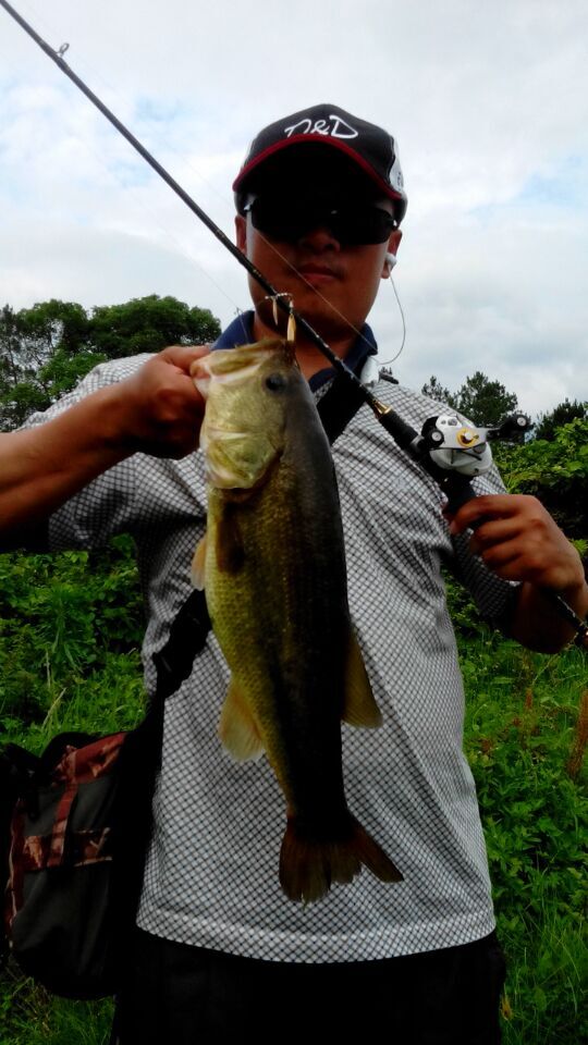 QQͼƬ20150522232532.jpg