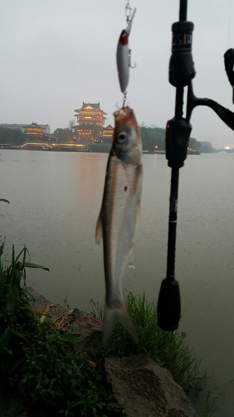 20150616_185306_resized.jpg
