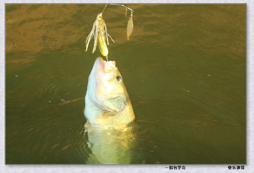 QQͼƬ20150801110413_.jpg