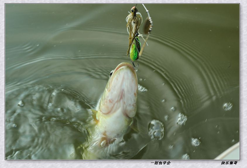 QQͼƬ20150801110439_.jpg