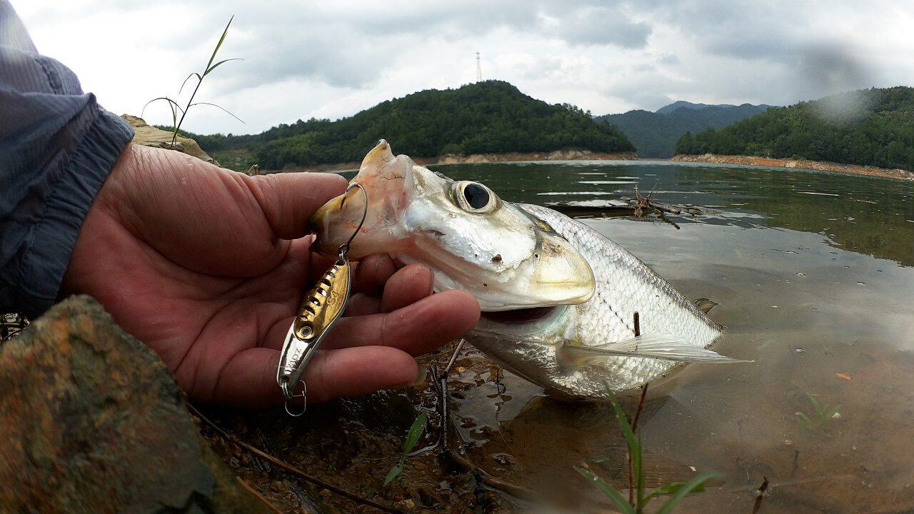 RIMG0169.1280x720.390.0K.jpg
