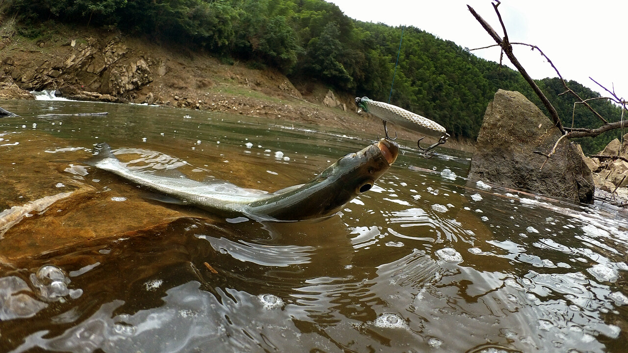 RIMG0015.1280x720.381.5K.jpg