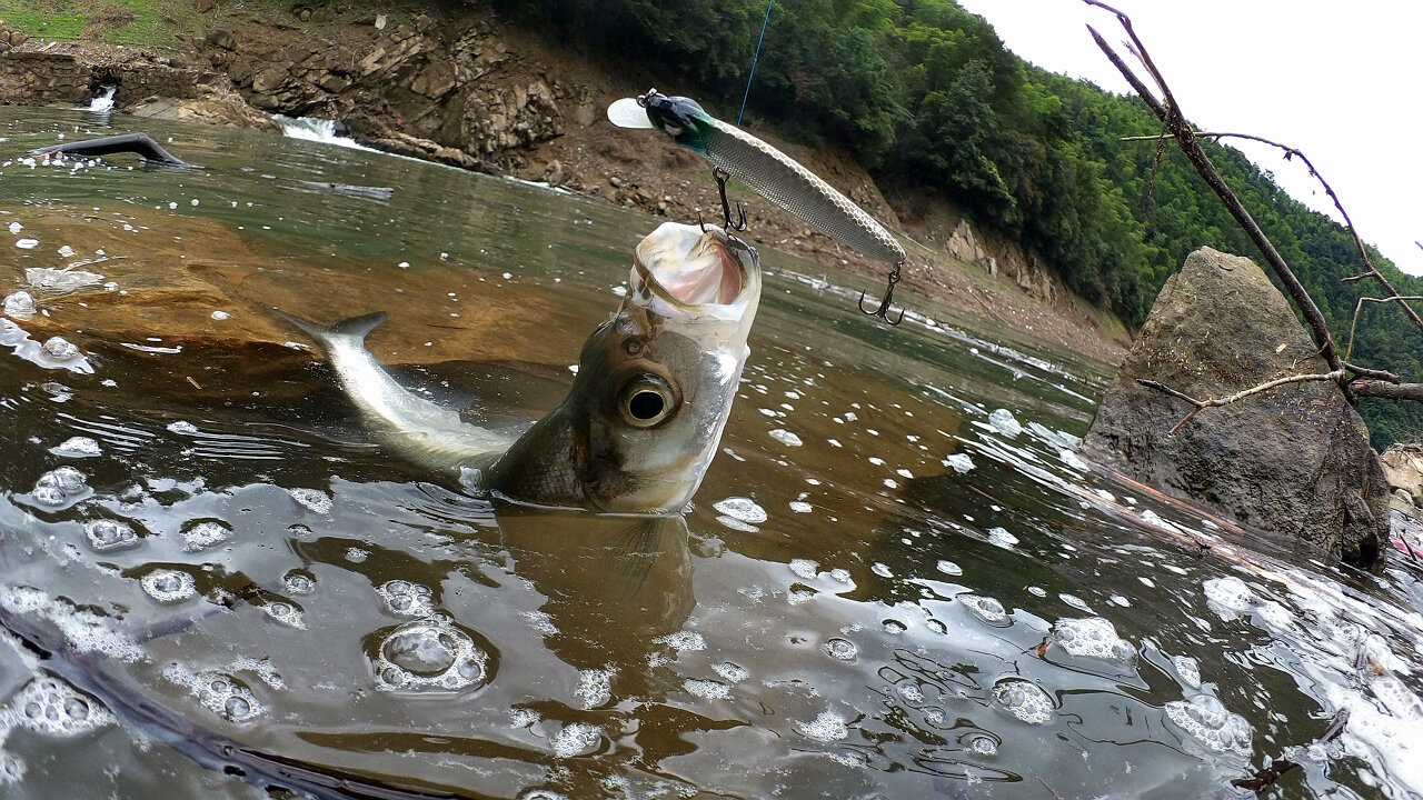 RIMG0016.1280x720.351.2K.jpg