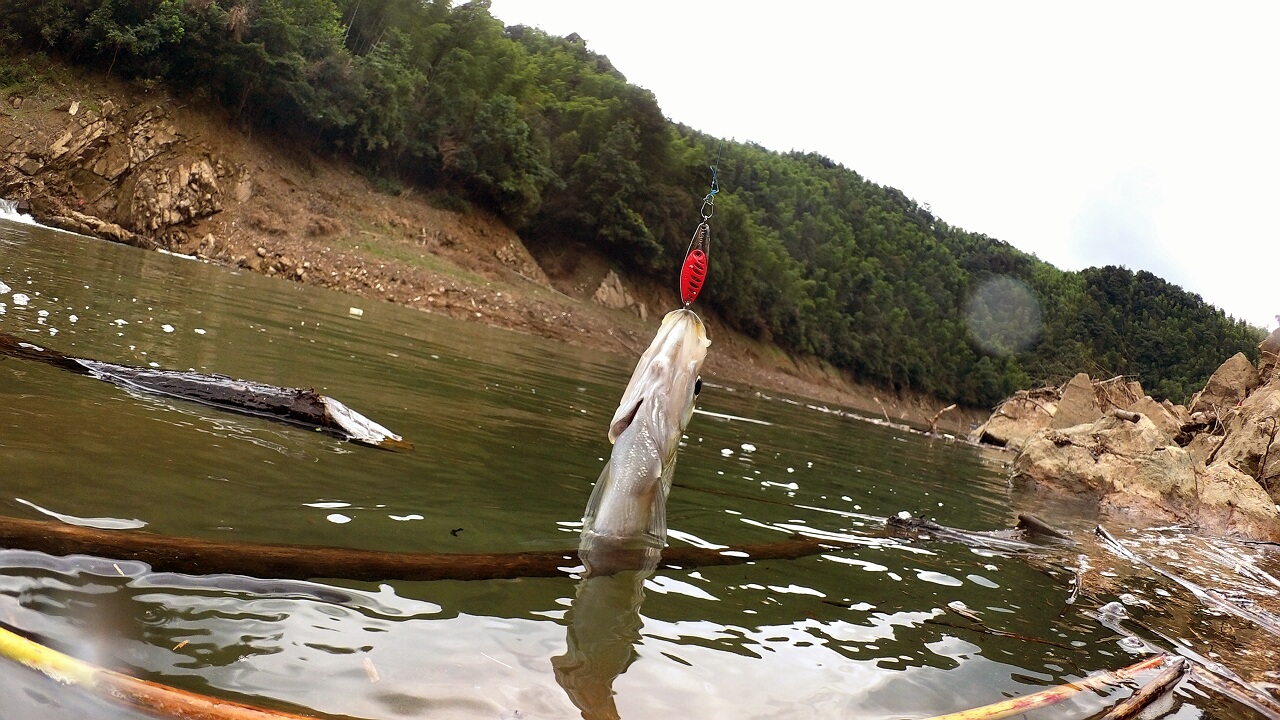 RIMG0023.1280x720.373.2K.jpg