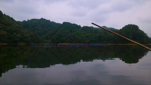 IMG_20150829_105137.jpg