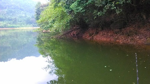 IMG_20150829_122415.jpg