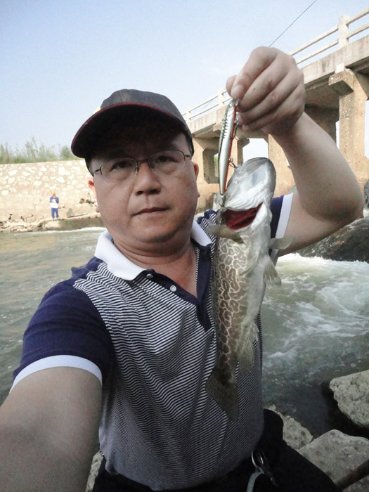 DSC01484.jpg