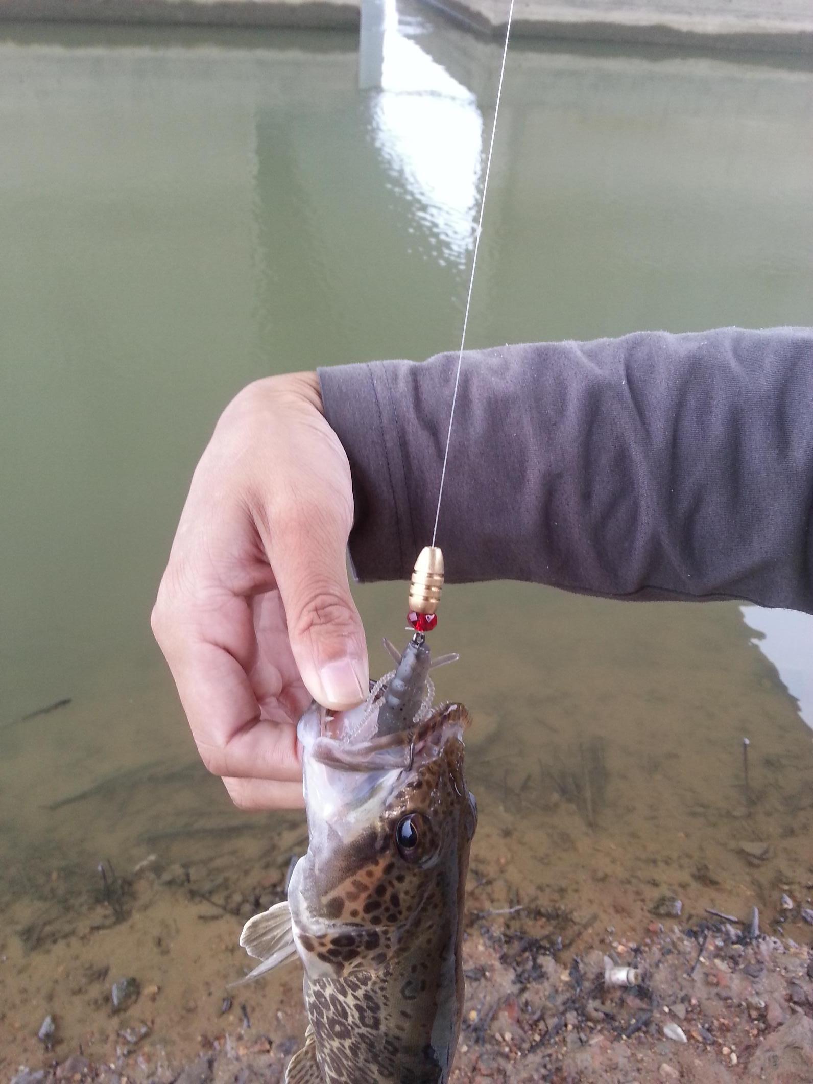 20150923_095244.JPG