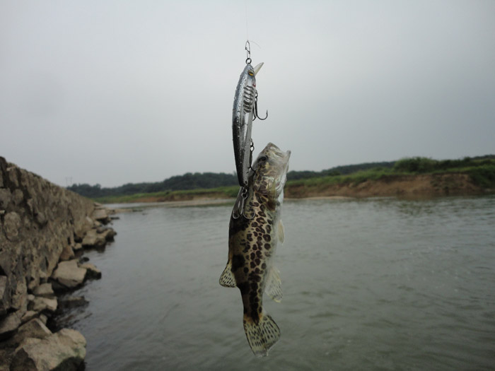 DSC01605.jpg