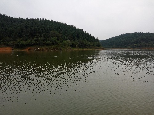 IMG_20150920_162903.jpg