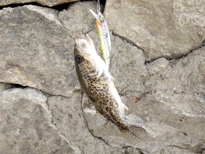 IMG_20151003_093656.jpg