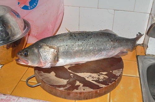 50CM
