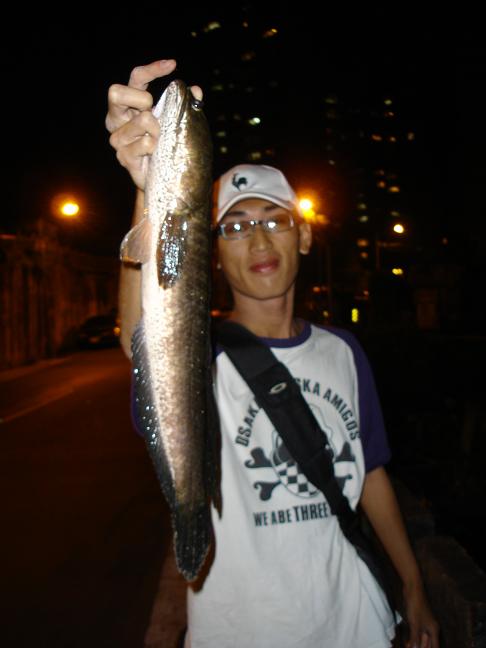 dsc00005_255.jpg