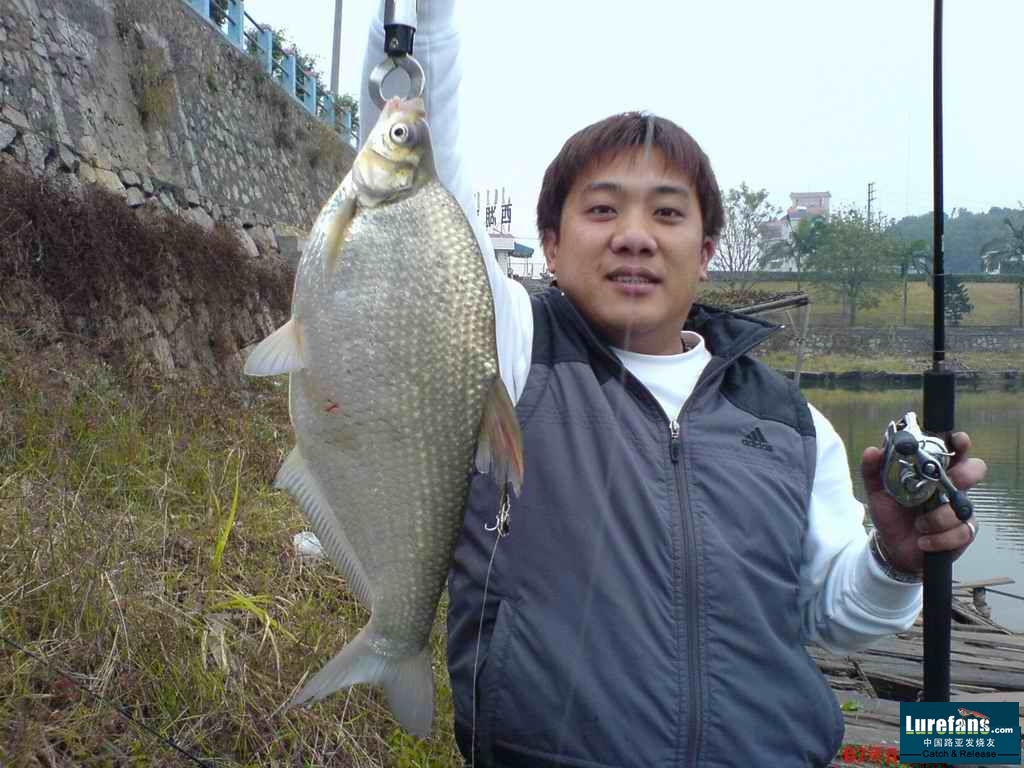 DSC00356.jpg