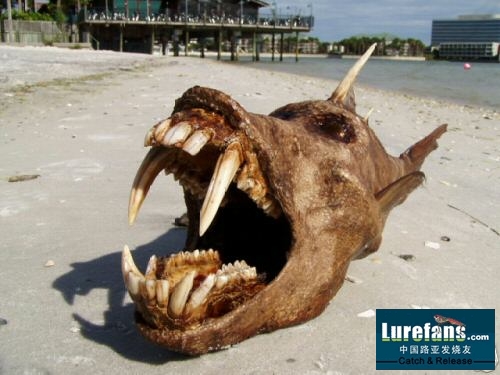 photoimg419.jpg