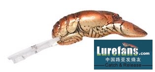 Rebel Crawfish