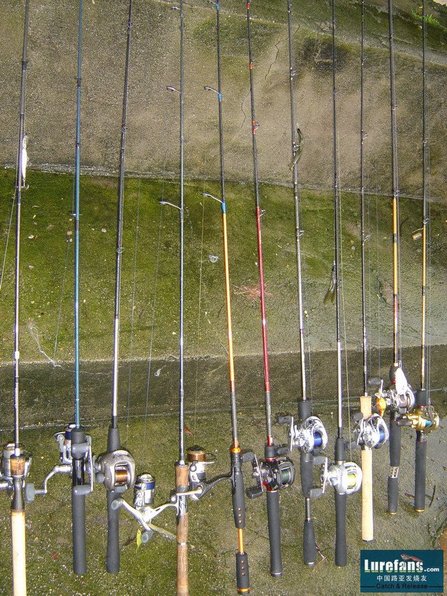 DSC08709.JPG